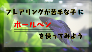 ベタ フレアリングが苦手な子に ボールペン を使ってみよう 滝谷ハジメのlibブログ