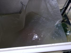 ベタ水槽に張った油膜をサッと取る方法 滝谷ハジメのlibブログ